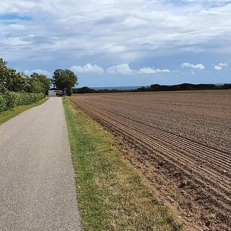 5 Person In Sydals Vakantiehuis