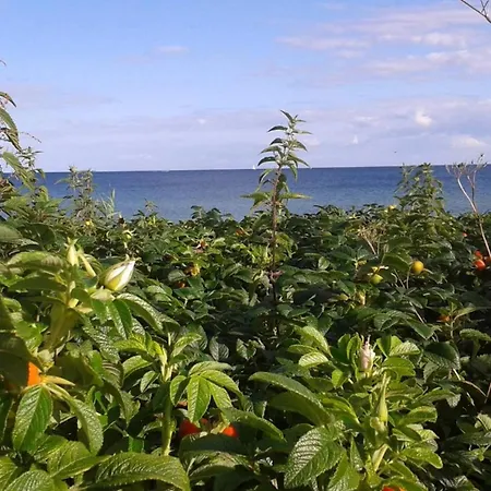 5 Person In Sydals *